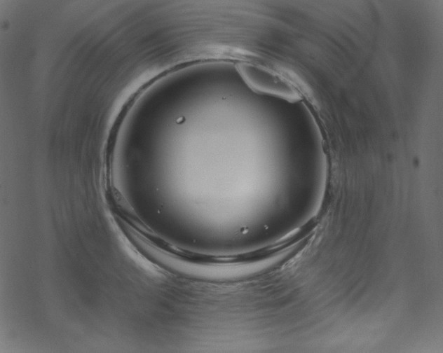 X0000070231136200605301449