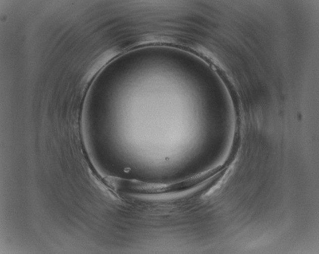 X0000070231137200605301449