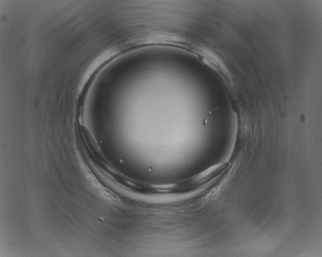 X0000070231138200605301449