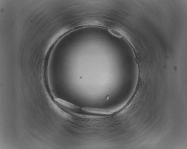 X0000070231139200605301449