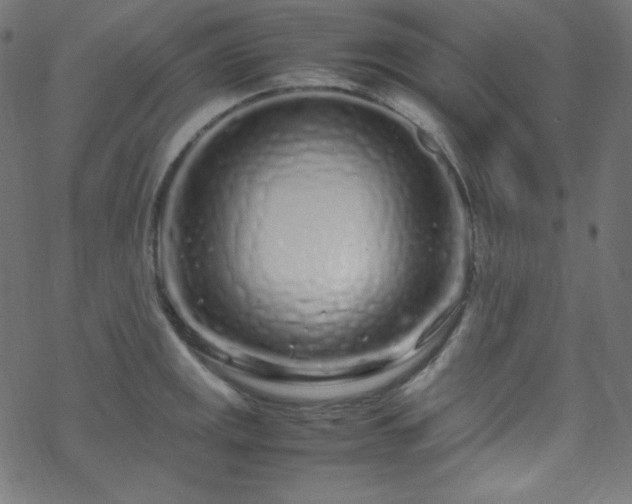 X0000070231141200605301449