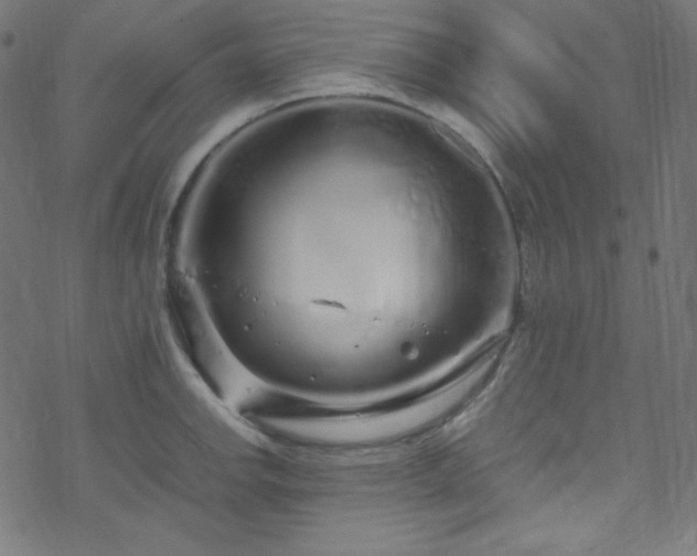 X0000070231142200605301449