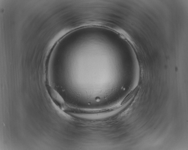 X0000070231143200605301449