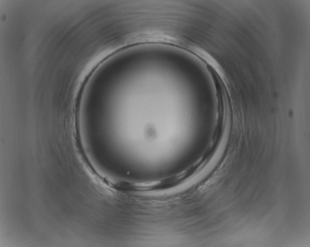 X0000070231144200605301449