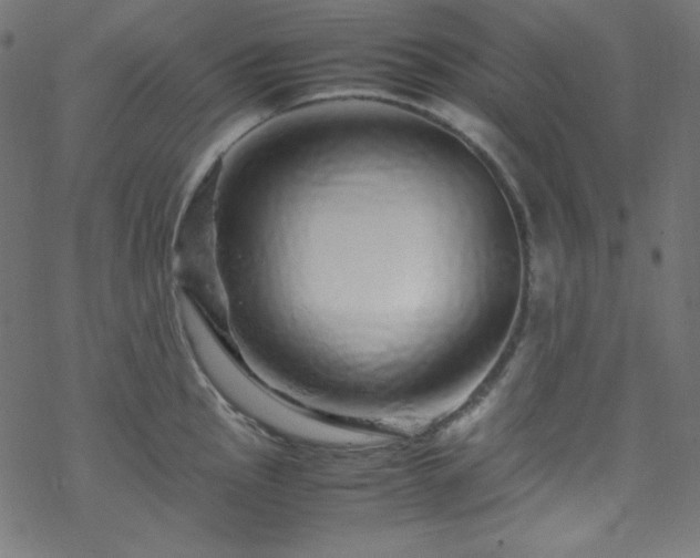 X0000070231145200605301449