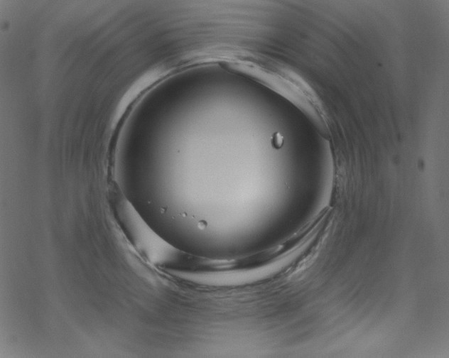 X0000070231146200605301449