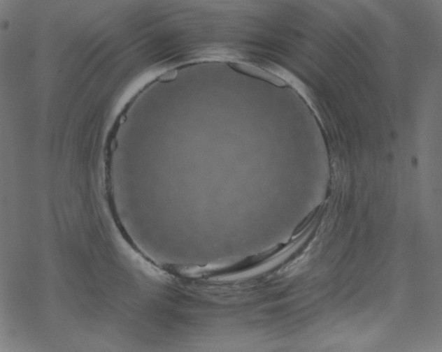 X0000070231147200605301449