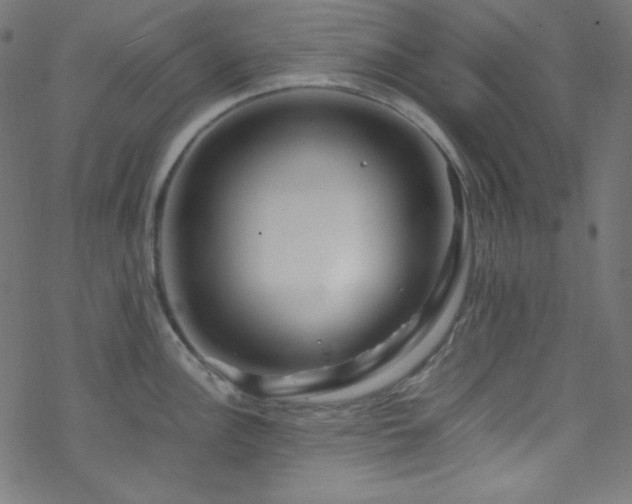 X0000070231148200605301449