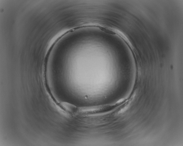 X0000070231149200605301449