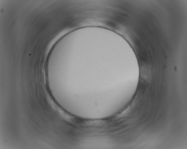 X0000070231150200605301449