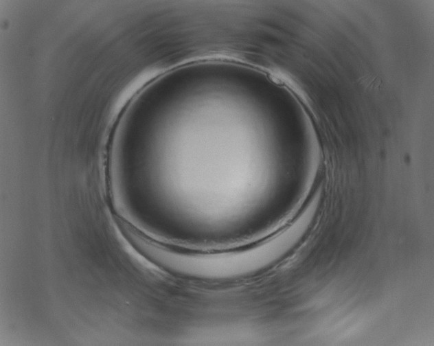 X0000070231151200605301449