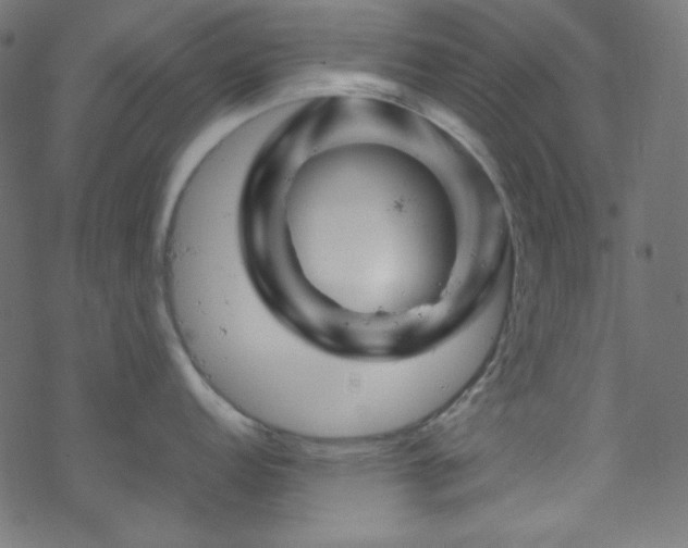 X0000070231152200605301449