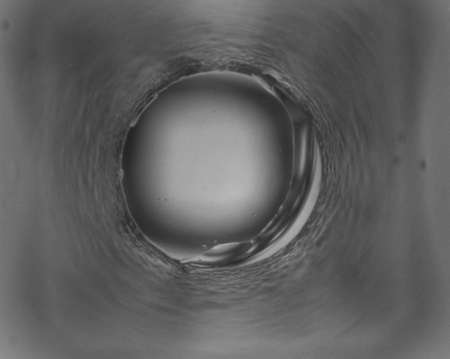 X0000070231153200605301448