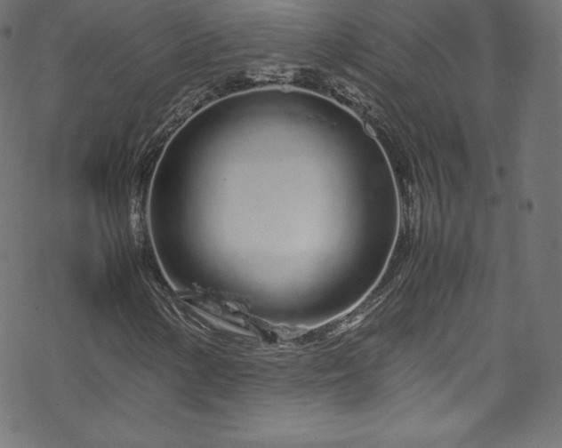 X0000070231154200605301448