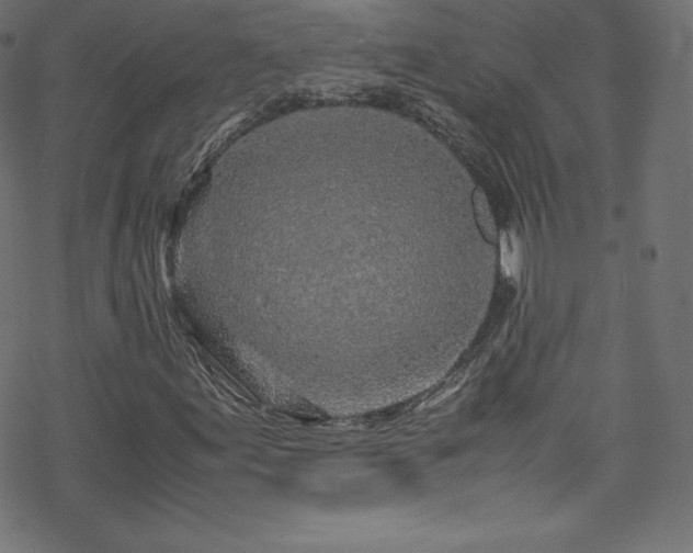 X0000070231155200605301448