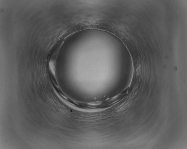 X0000070231156200605301448