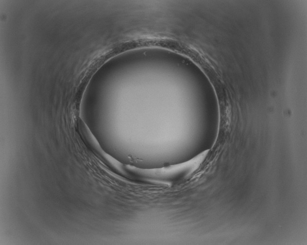 X0000070231157200605301448