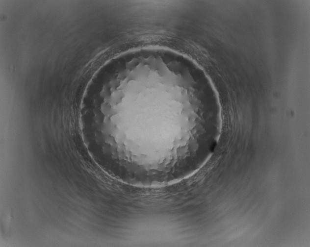 X0000070231158200605301448