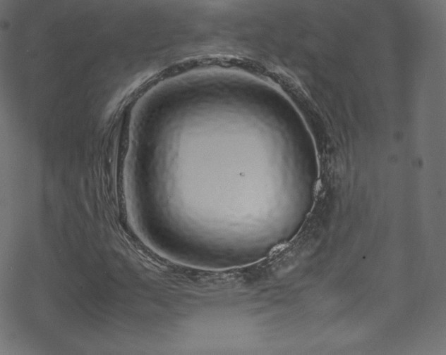 X0000070231159200605301448