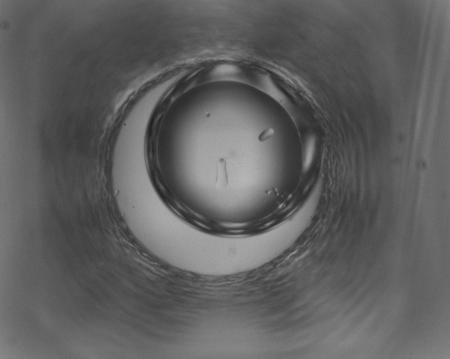 X0000070231160200605301448