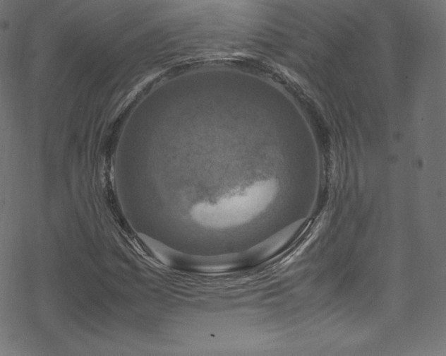 X0000070231161200605301448