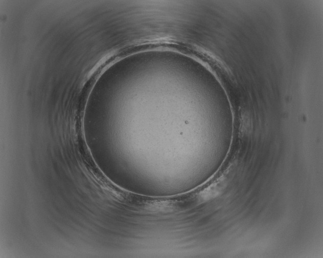 X0000070231162200605301448