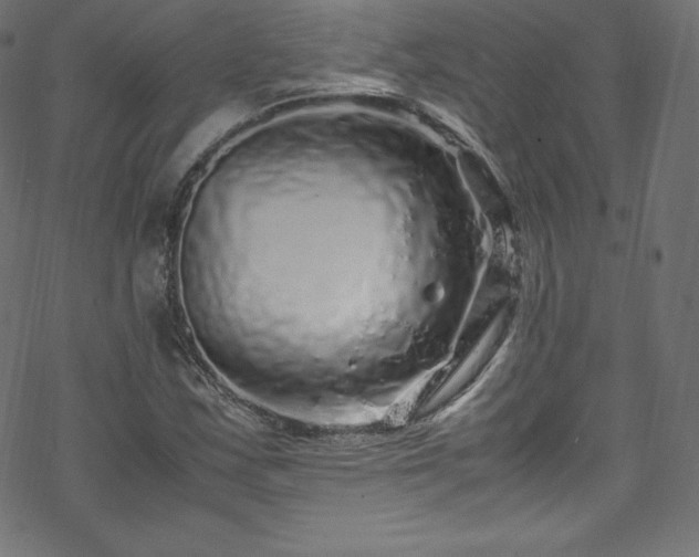 X0000070231163200605301448