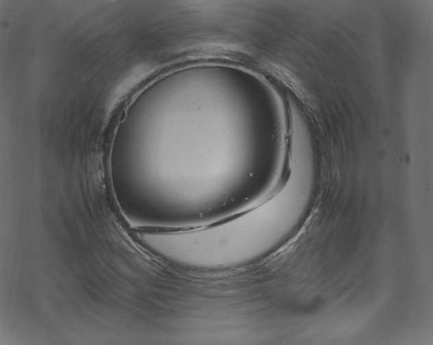 X0000070231164200605301448