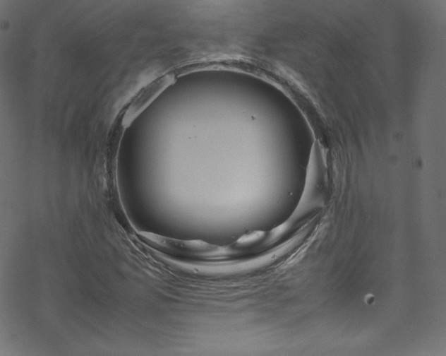 X0000070231165200605301448