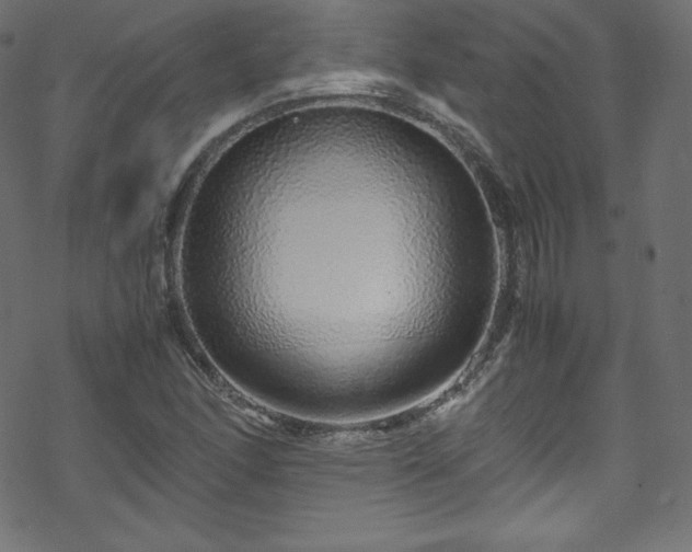 X0000070231166200605301448