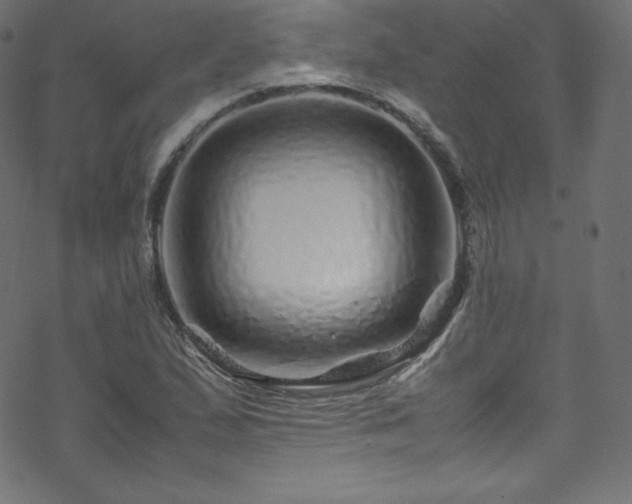 X0000070231167200605301448