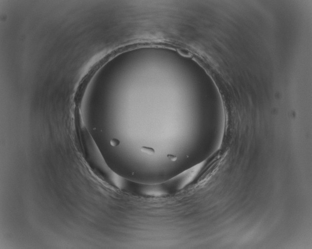 X0000070231168200605301448