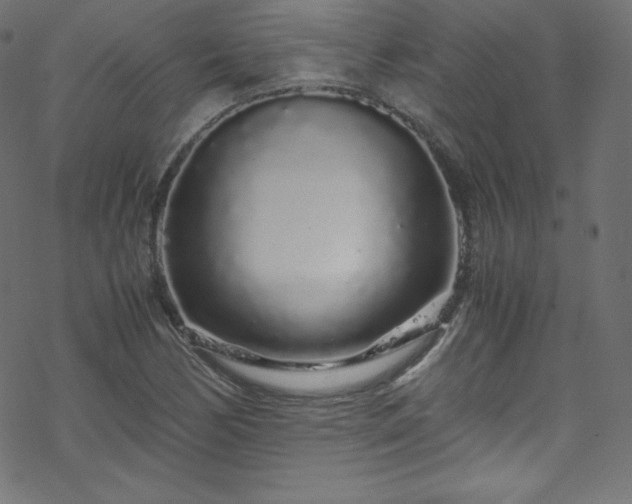 X0000070231170200605301448