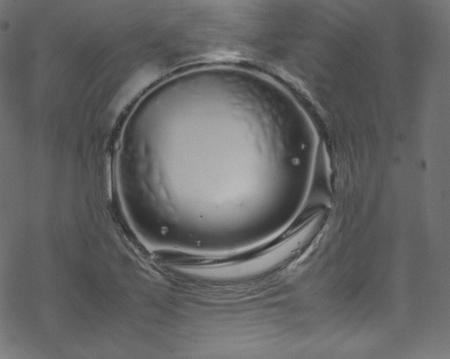 X0000070231171200605301448