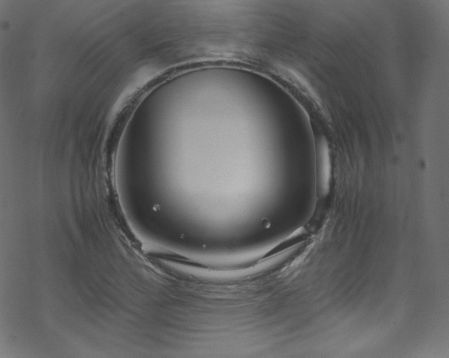 X0000070231172200605301448