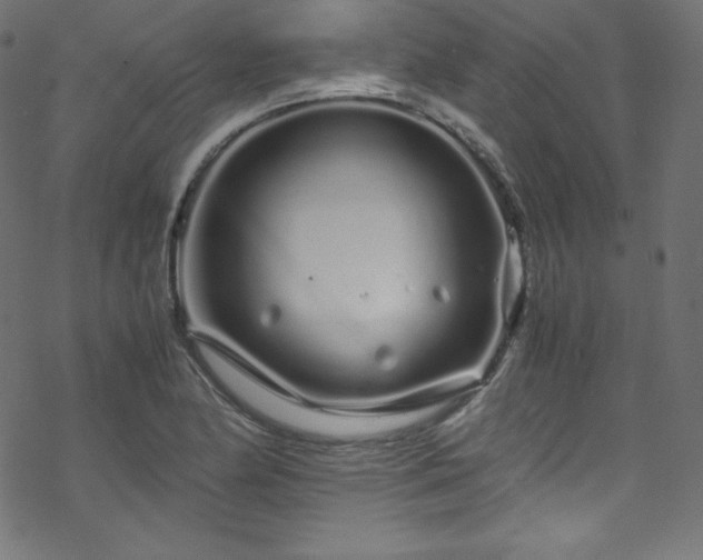 X0000070231174200605301448