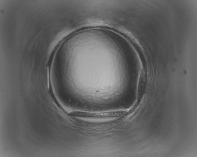 X0000070231175200605301448