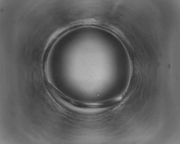 X0000070231176200605301448