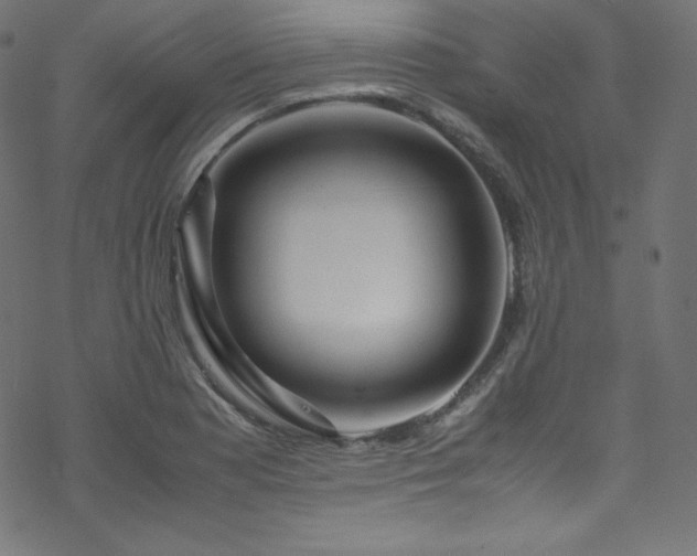 X0000070231177200605301448