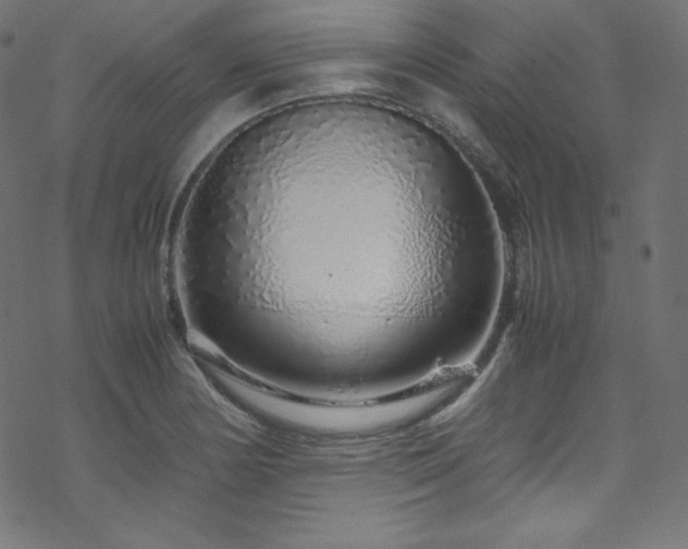 X0000070231178200605301448