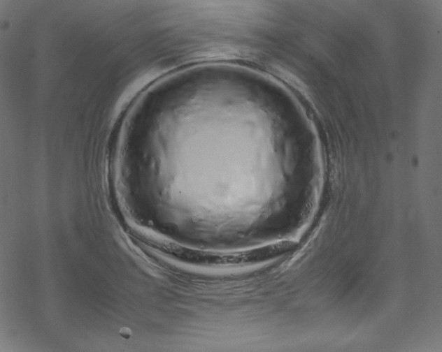 X0000070231179200605301448