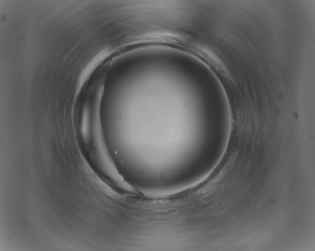 X0000070231180200605301448