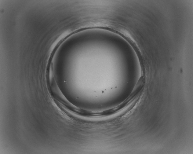 X0000070231181200605301448