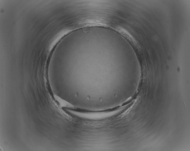 X0000070231182200605301448