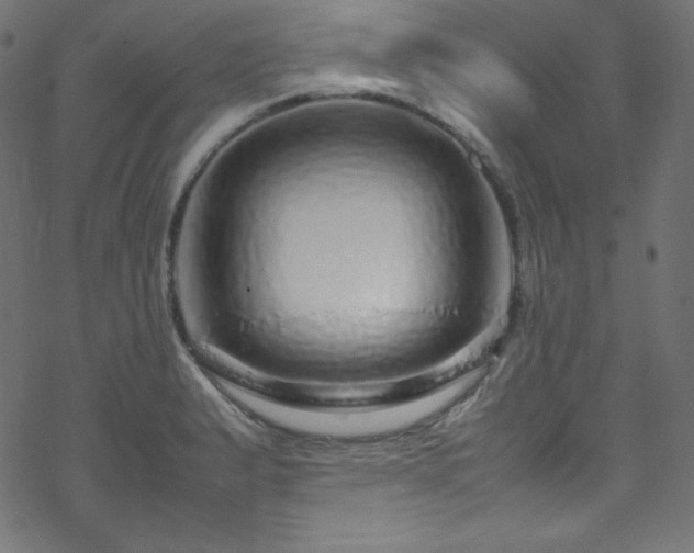 X0000070231183200605301448