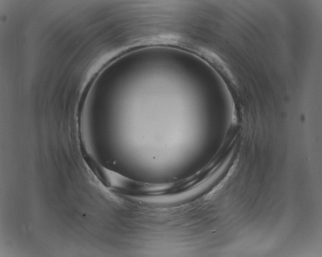 X0000070231184200605301448