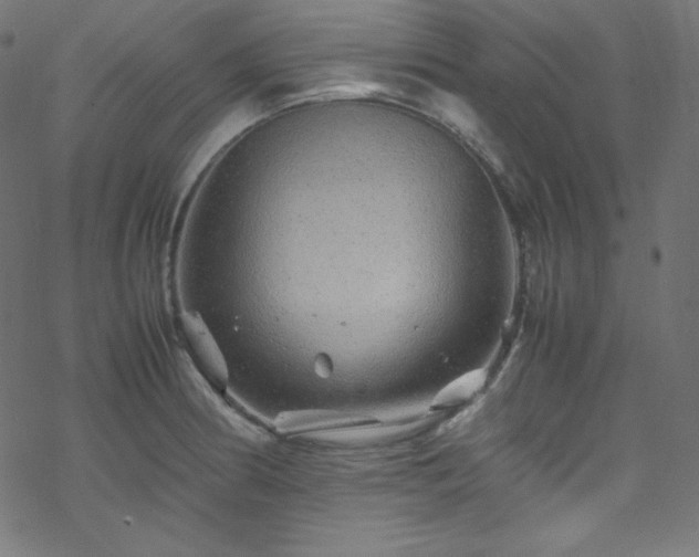 X0000070231186200605301448