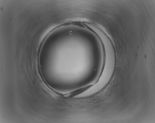 X0000070231187200605301448