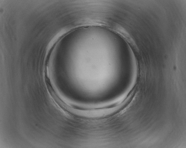 X0000070231188200605301448