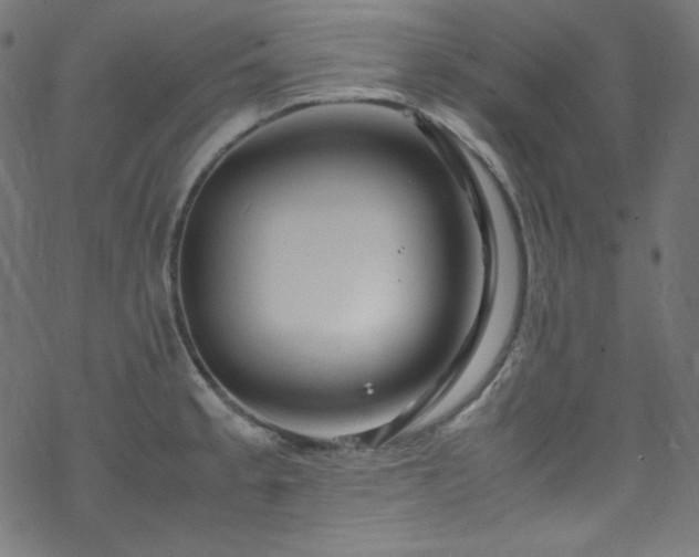 X0000070231189200605301448